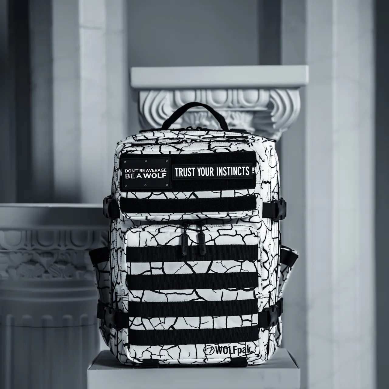 25L Backpack Part 2: The Reign (SALE)