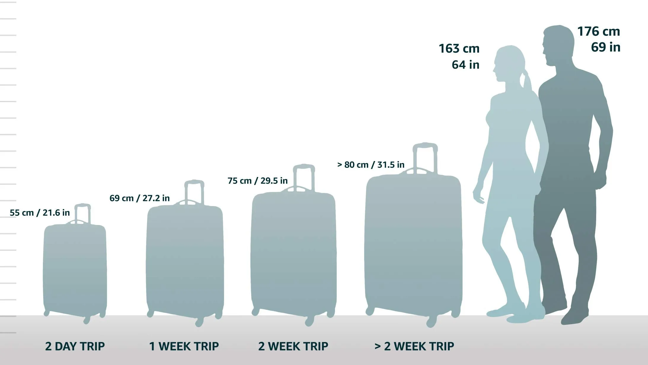 DELSEY Paris Helium Cruise 21" 4-Wheel Carry-On Luggage