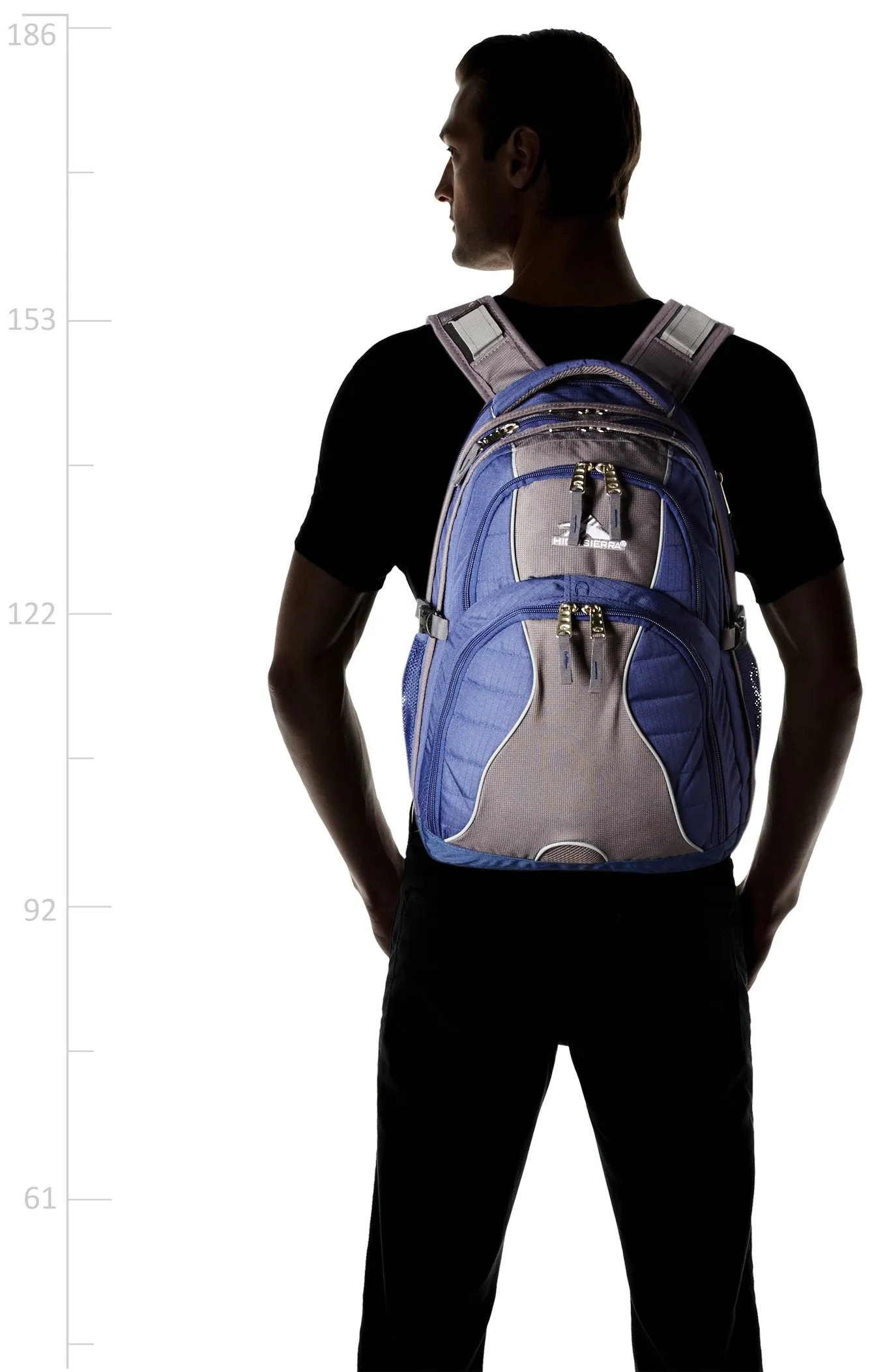 High Sierra Swerve Backpack