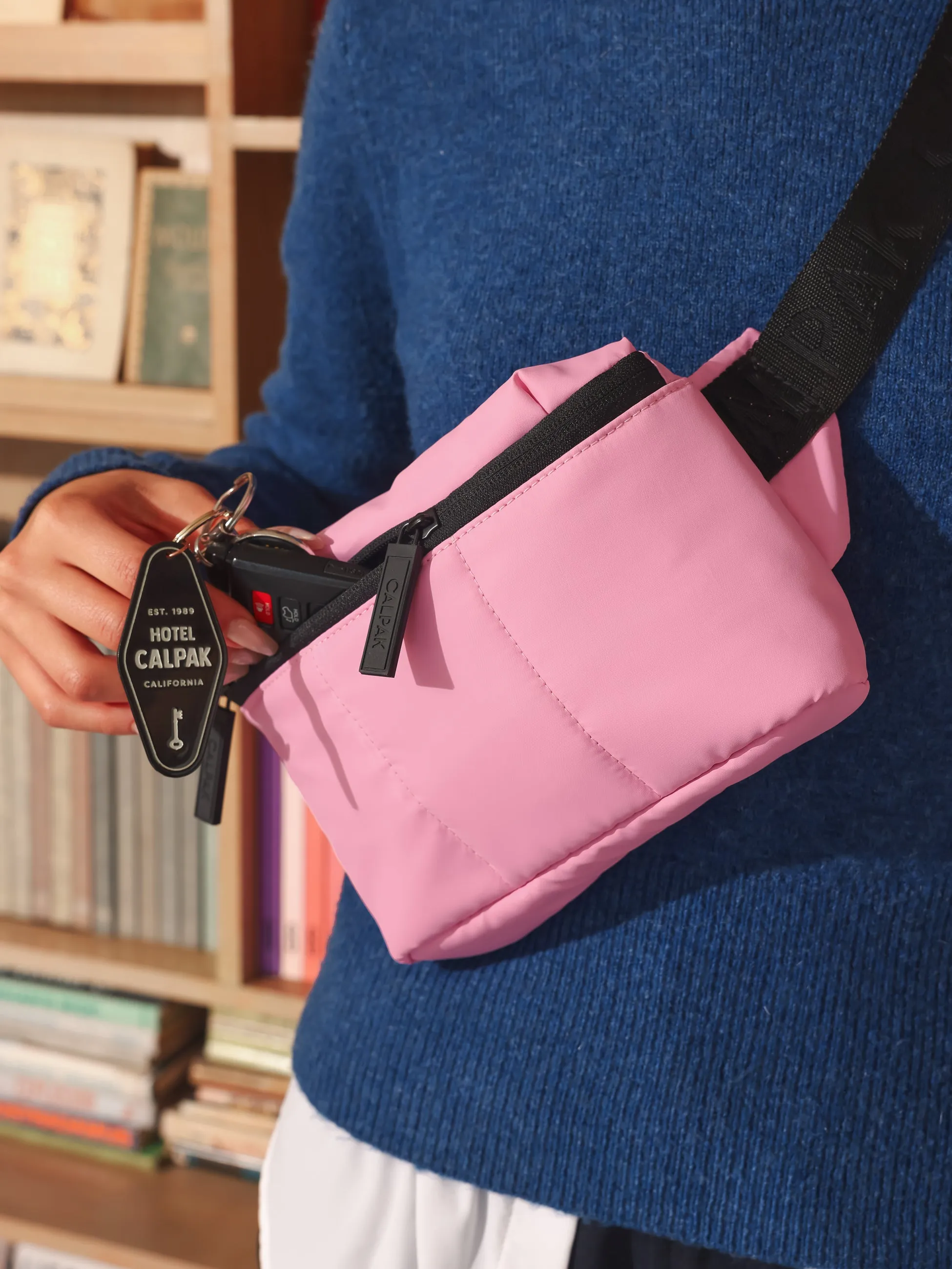 Luka Mini Belt Bag